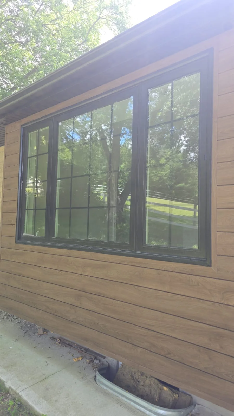 Wide dark-framed windows surrounded by timber siding with trees reflected in the glass